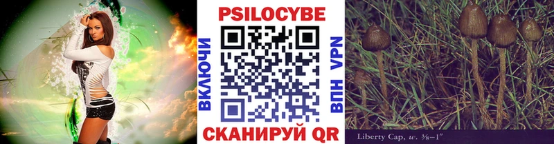 цены наркотик  Вышний Волочёк  Галлюциногенные грибы мухоморы 